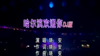 哈尔滨欢迎你(DJ版)