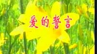 爱的誓言