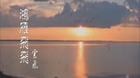 鸿雁飞飞