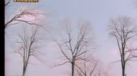你为什么离开我