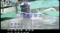 我不爱你了