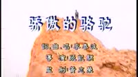 骄傲的骆驼