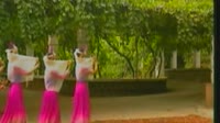 花儿为什么这样红