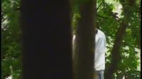何日相见