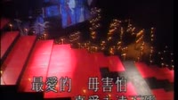 一个为你甘去渡火海的人
