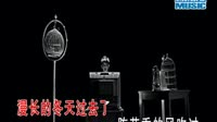 不想听爱情故事