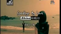 GOODBYE MY LOVE