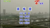 真情爱