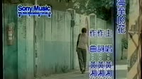温室的花