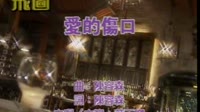 爱的伤口