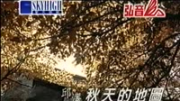 秋天的地图