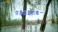 你是我爱的唯一