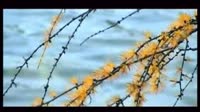 这山这水