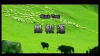 黑帐篷