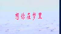 想你在梦里