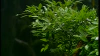 老房东查铺