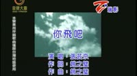 你飞吧