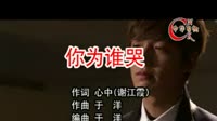 你为谁哭